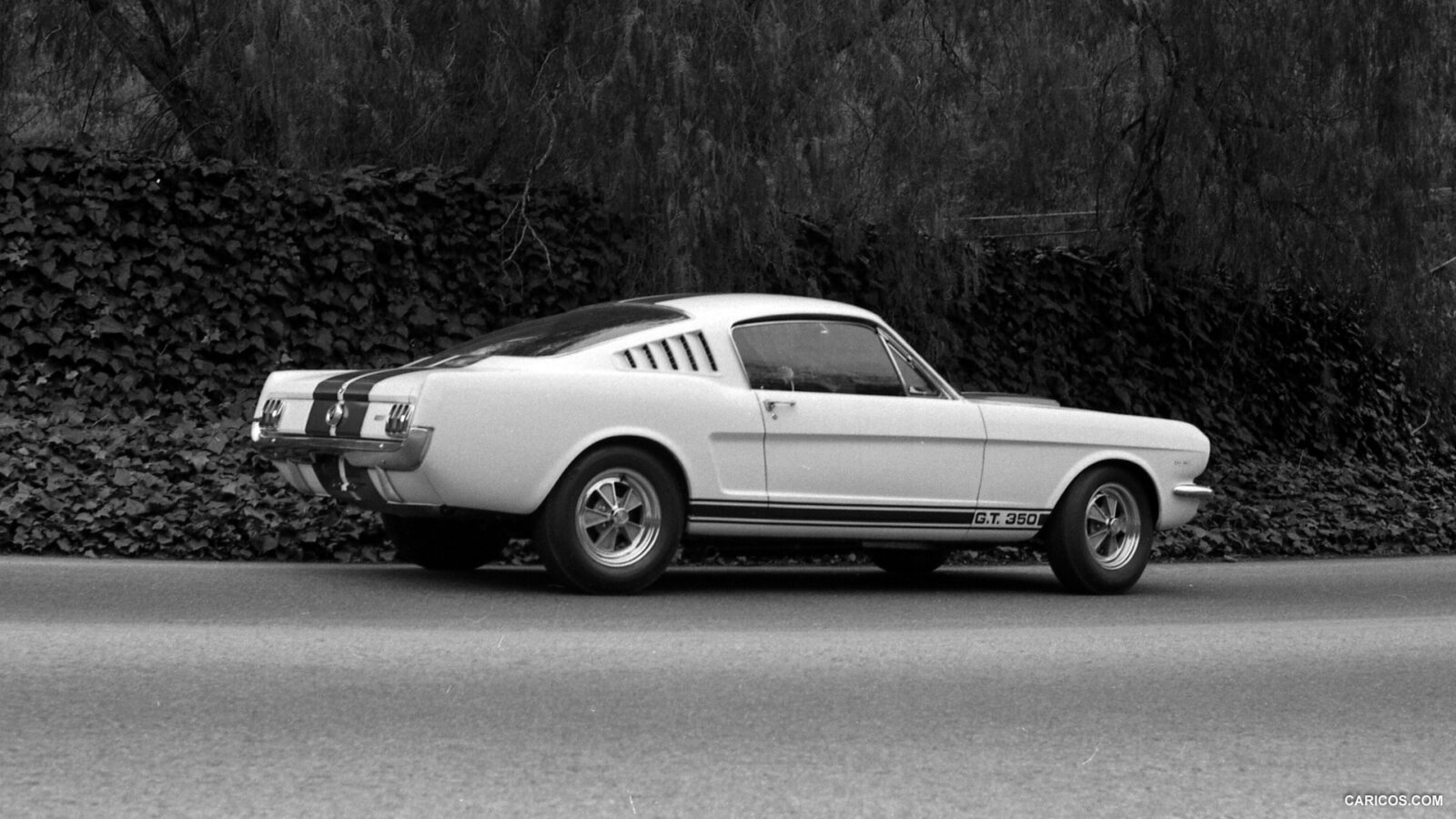 ford mustang prototype 1965